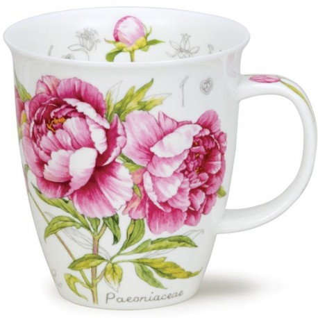 Fine Bone China Mug - Botanical Sketch Peony